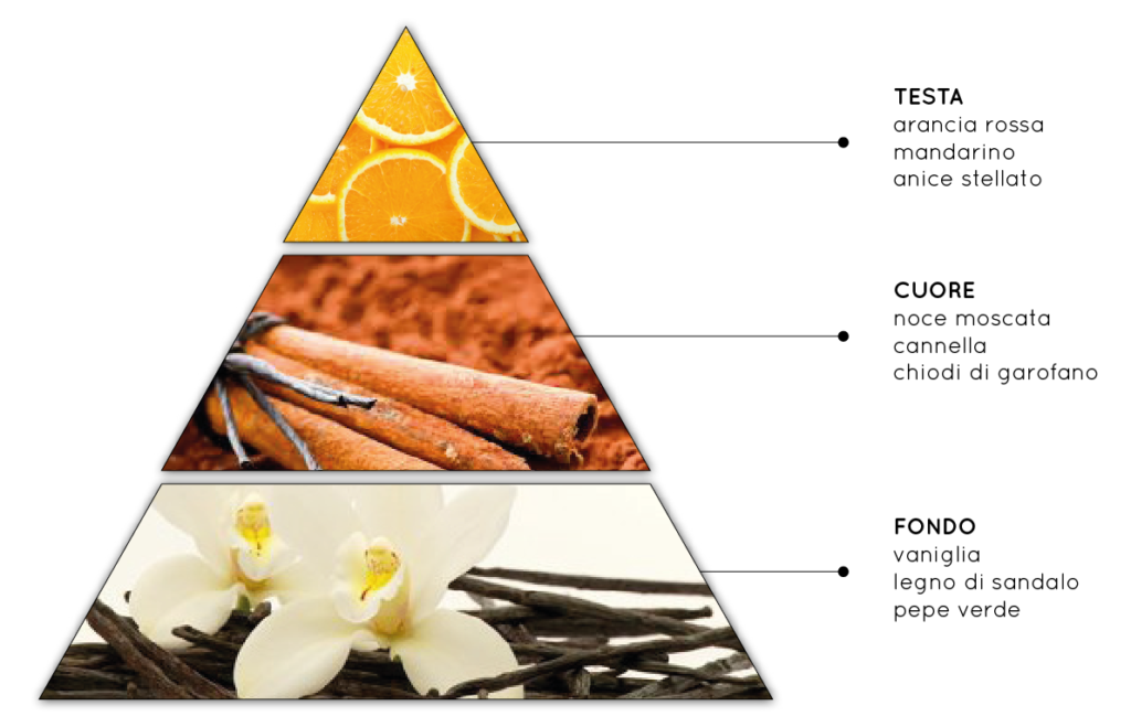 Arancio e Cannella - Fragranza per Ambienti Speziata, Agrumata, Fresca - QueLLiDelNaso.it