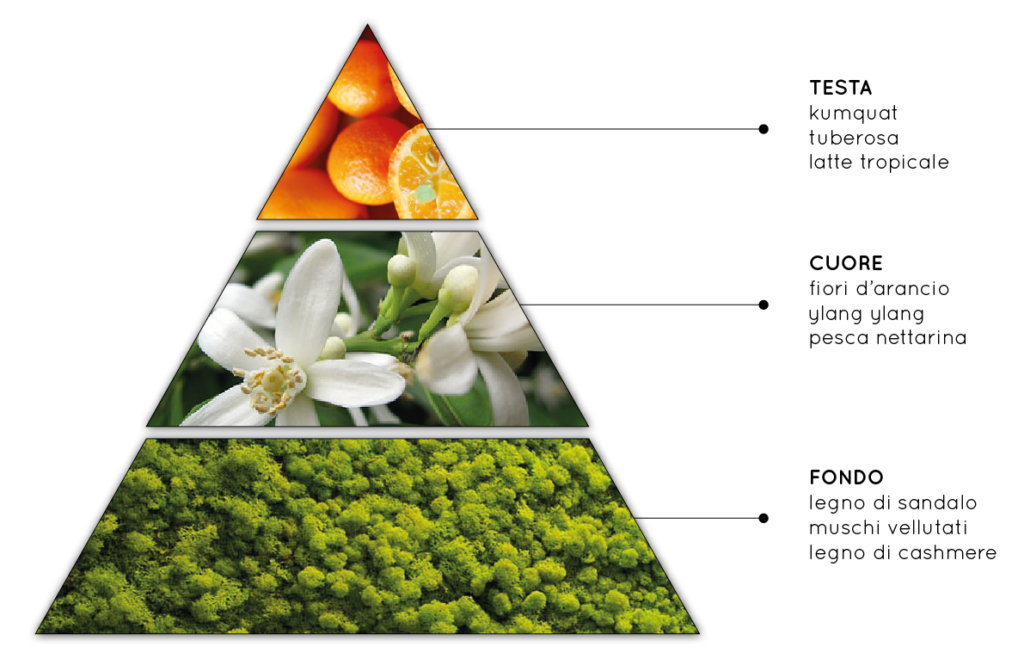 Coccole - Fragranza per Ambienti Fiori bianchi, Fruttato, Legnoso, Dolce - QueLLiDelNaso.it