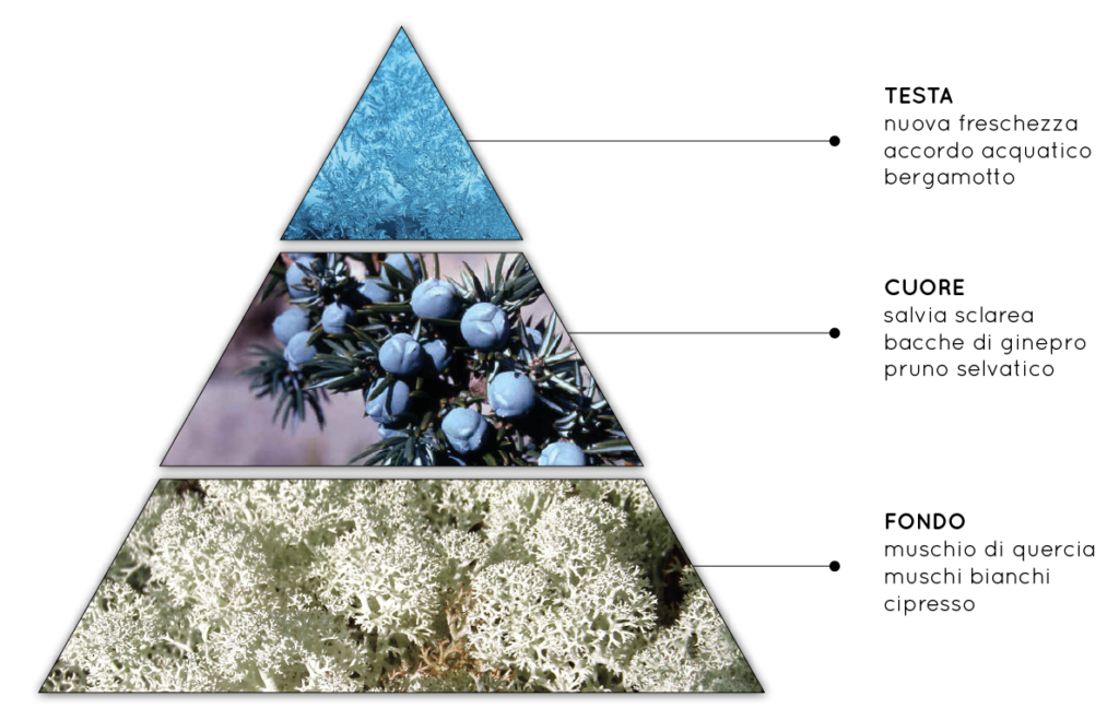 Elisir Glaciale - Fragranza per Ambienti Fresca, Legnosa, Fruttata, Muschiata - QueLLiDelNaso.it