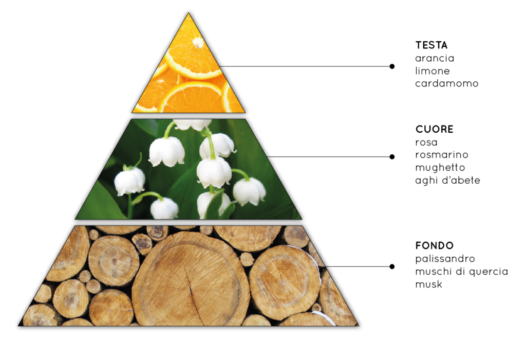 Febbre d'Amore - Fragranza per ambienti Fiorita, Fresca, Legnosa, Fruttata - QueLLiDelNaso.it