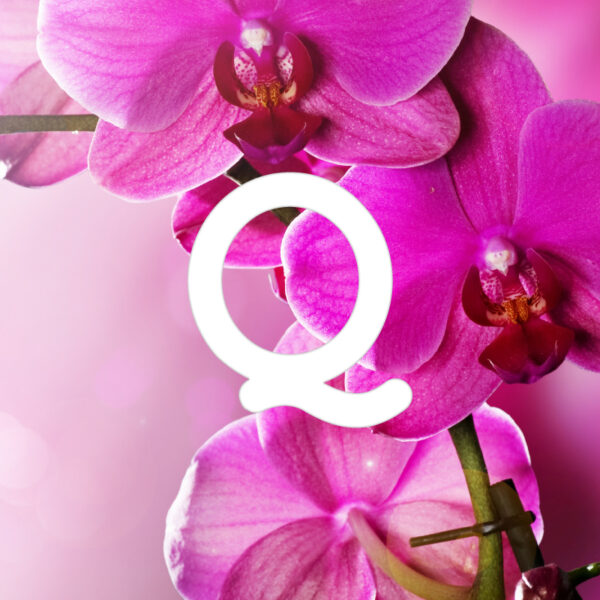 Orchidea & Legni Speziati - Fragranza per Ambienti - immagine 2