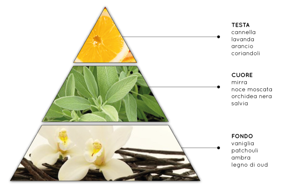 Orchidea e Legni Speziati - Fragranza per Ambienti Aromatica, Floreale, Legnosa, Muschiata - QueLLiDelNaso.it