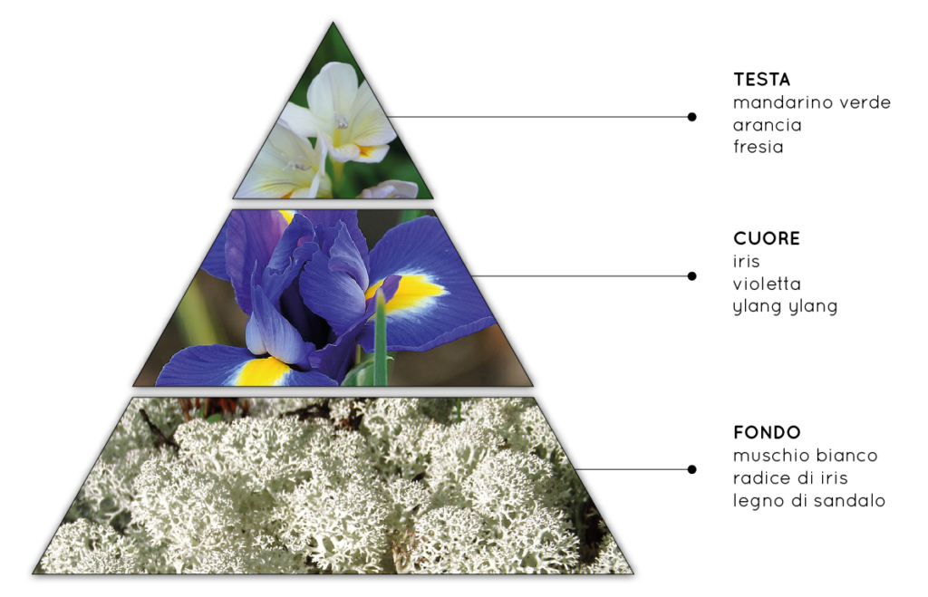 Ricordi - Fragranza per Ambienti Talco, Fresca, Fiorita, Irisata - QueLLiDelNaso.it
